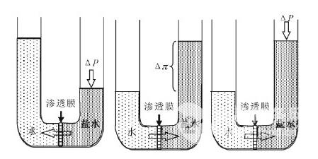 正渗透膜设备