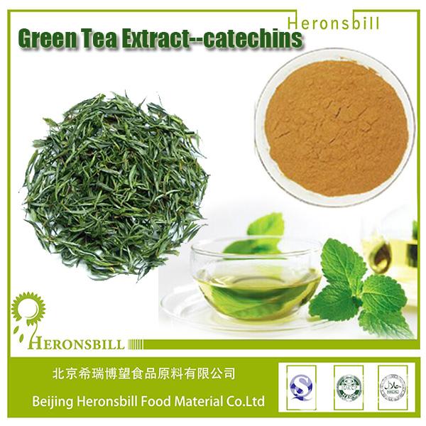 绿茶提取物价格