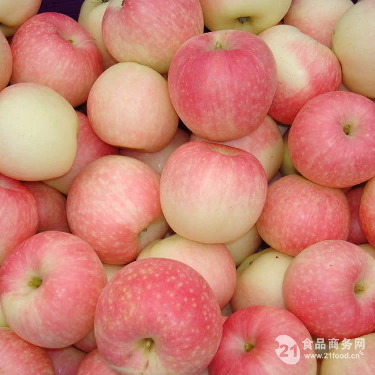 红嘎啦苹果 新鲜水晶嘎啦苹果价格-中国 咸阳
