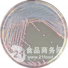沙门氏菌属检测用培养基