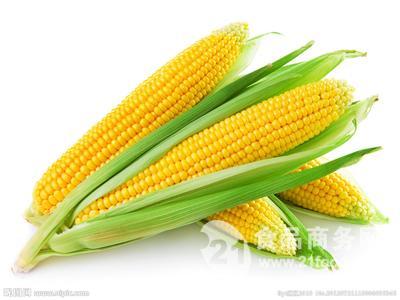 玉米黄色素