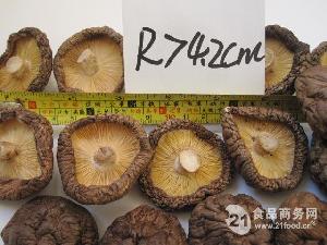 剪腳干香菇 菇面直徑2-3-4-5公分（cm）干貨批發
